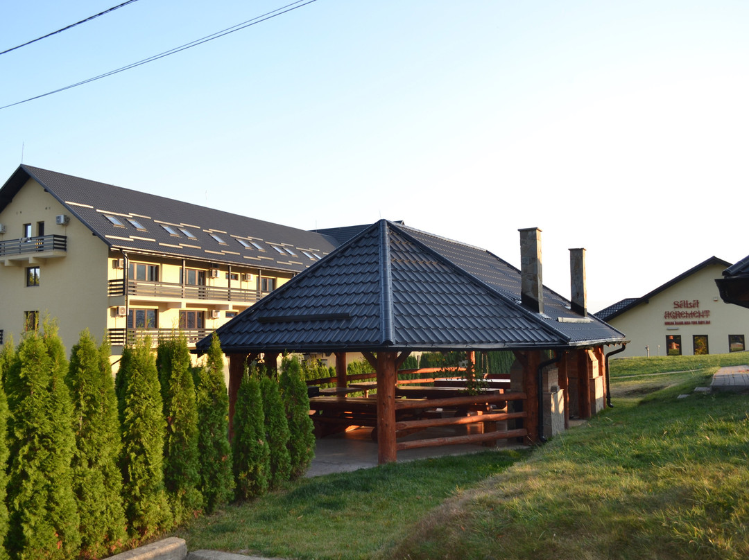 Hotel Voievod主图