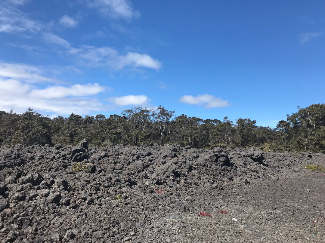 Pu'u Huluhulu trail-夏威夷火山国家公园必去景点