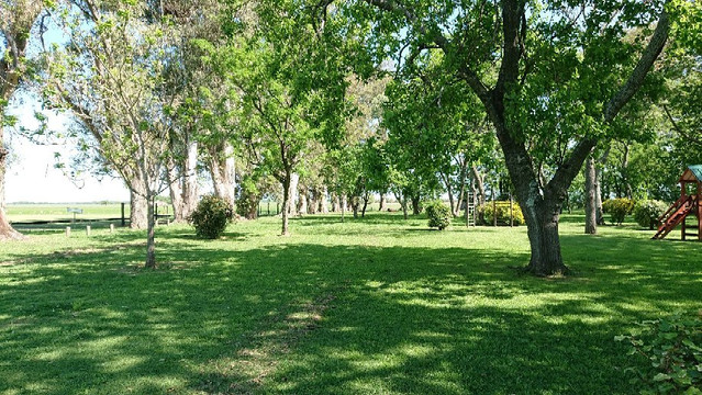 Caballos a la Par-布宜诺斯艾利斯必去景点