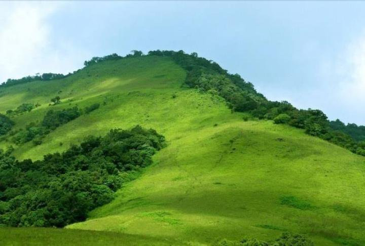 Paithalmala Hill Station景点图片