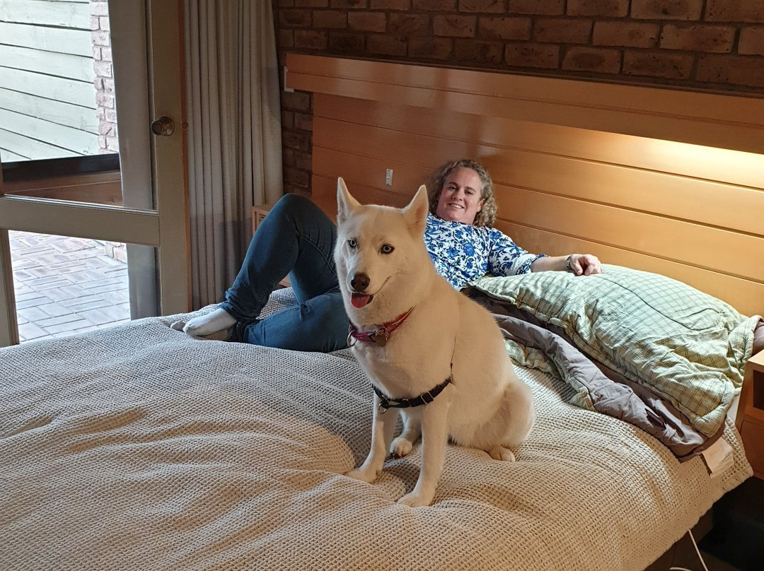 Motel Flinders主图