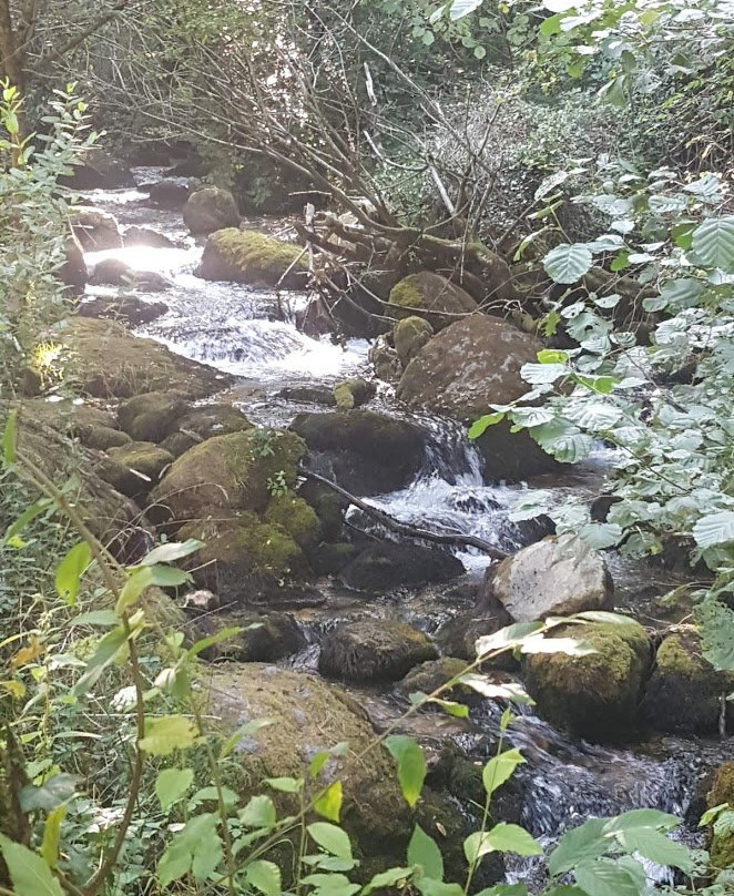 Vevchani Springs景点图片