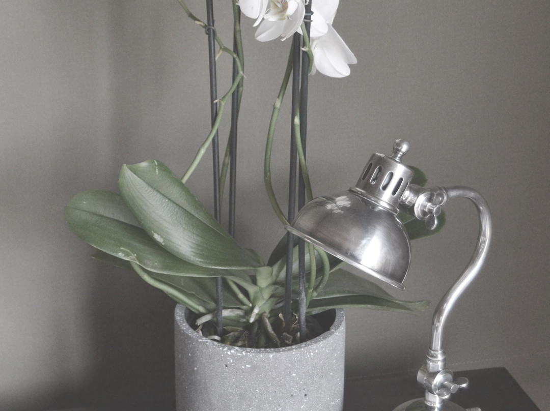 Barefoot Addo Elephant Lodge-Addo Elephant National Park必去景点