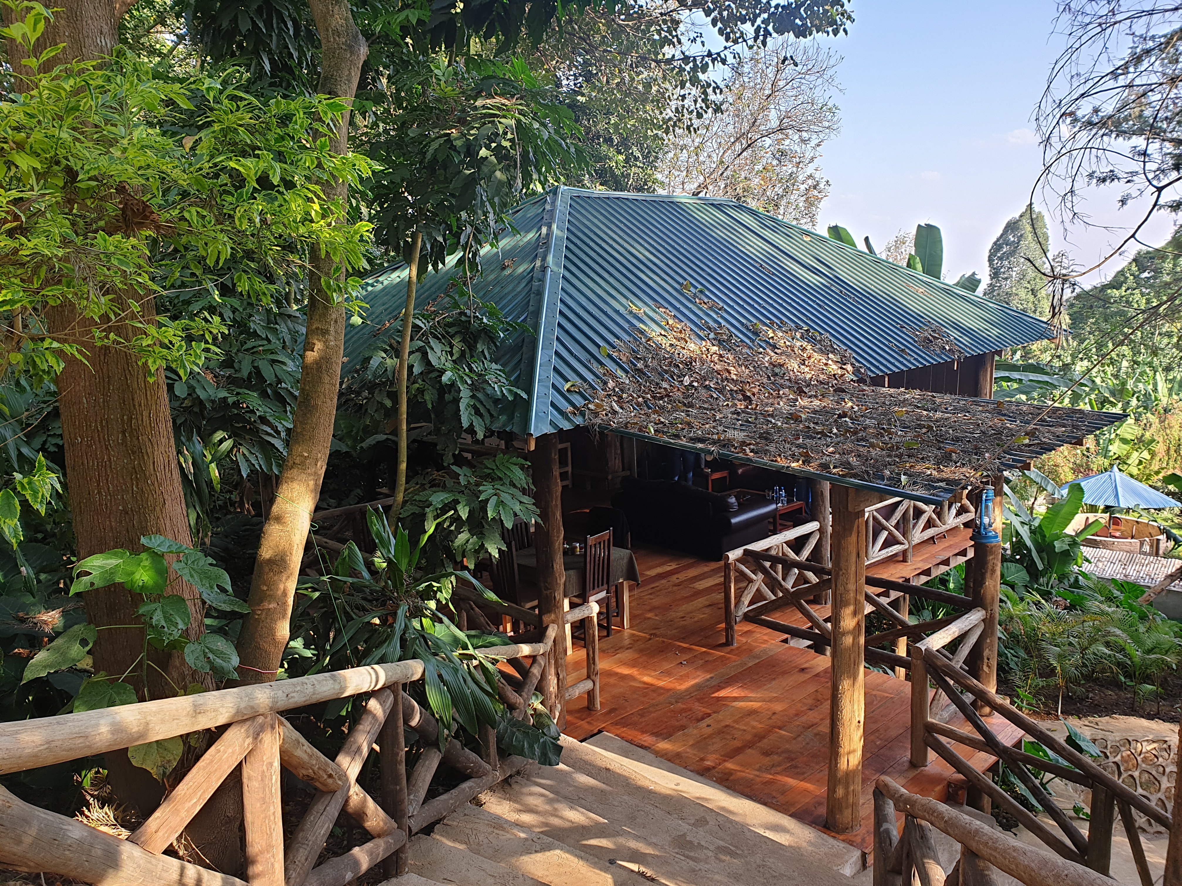 Malkia Trees Lodge-餐饮