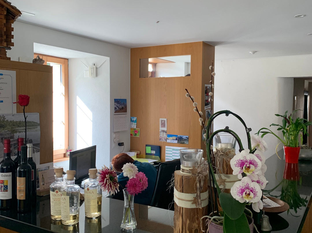 Hotel Fletschhorn主图