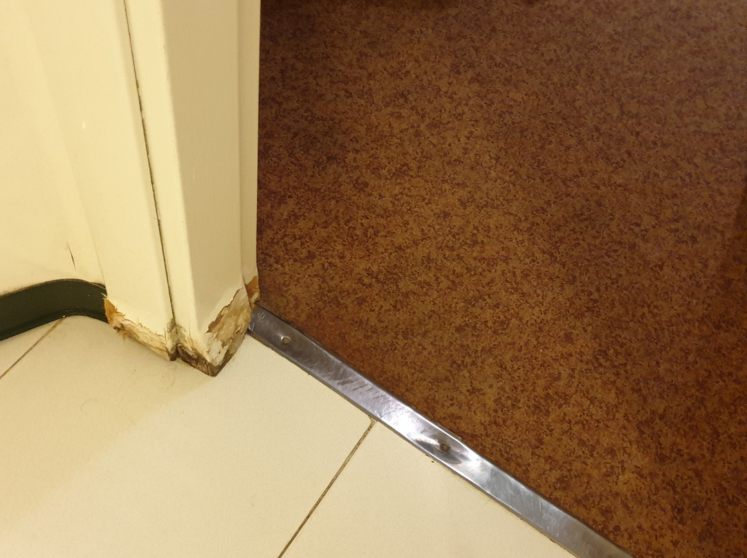 Hotel Iris Guadalajara主图