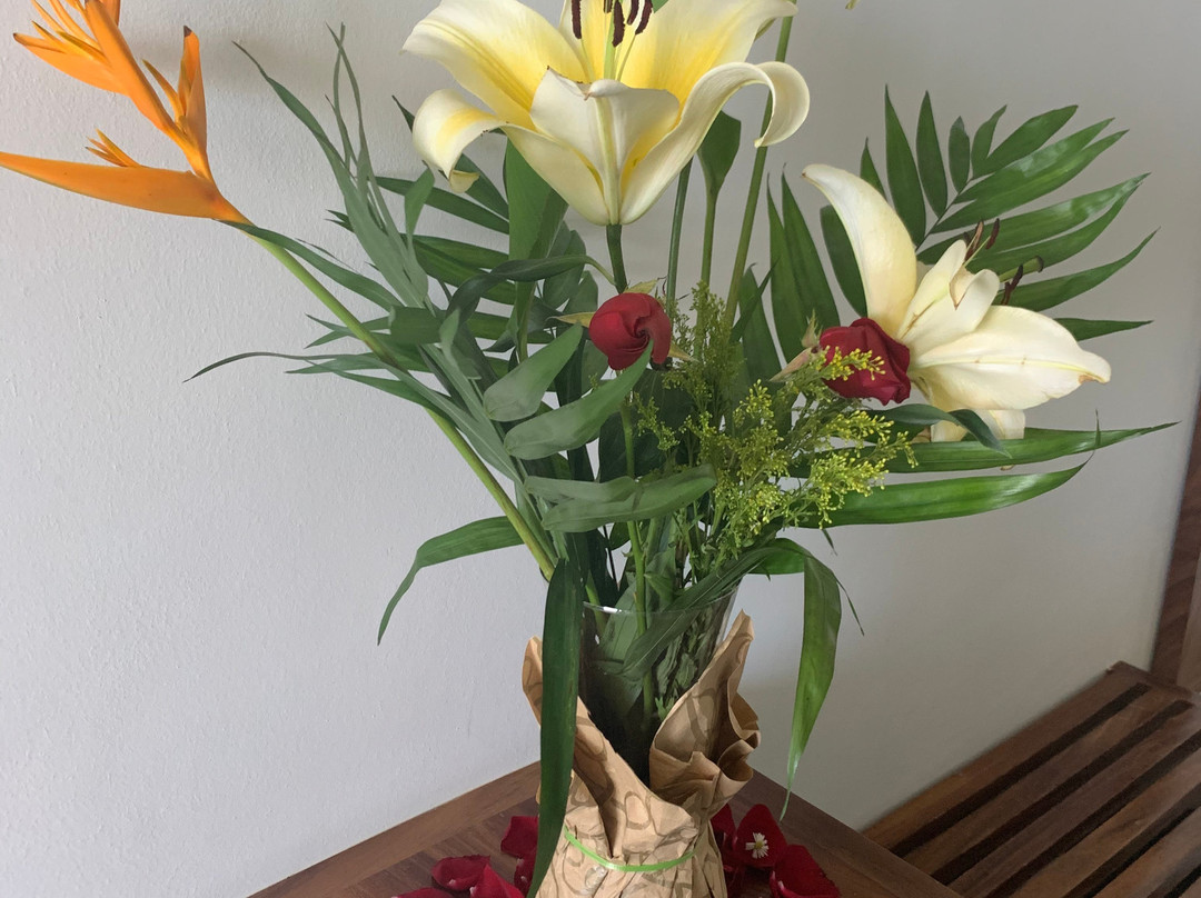 Punta Zicatela Hotel主图