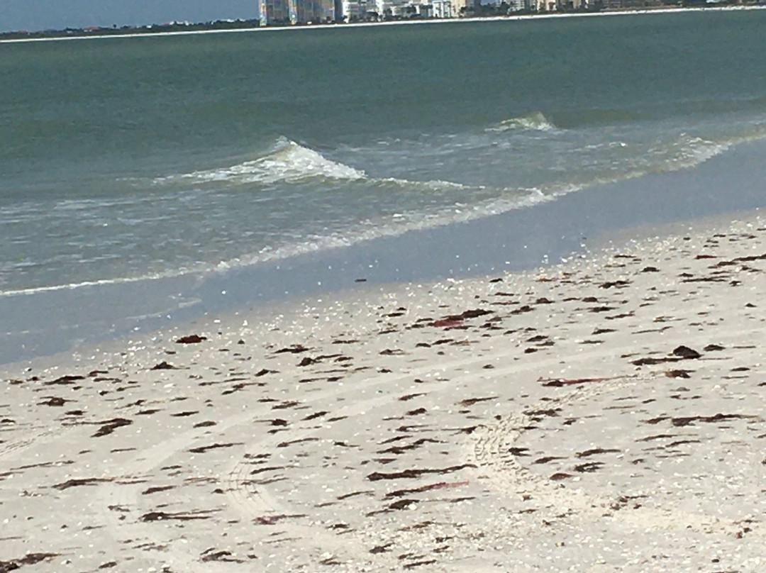 The Surf Club of Marco主图