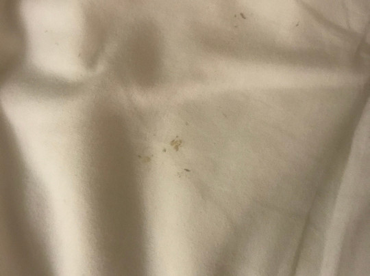 Extended Stay America - Charleston - Airport主图