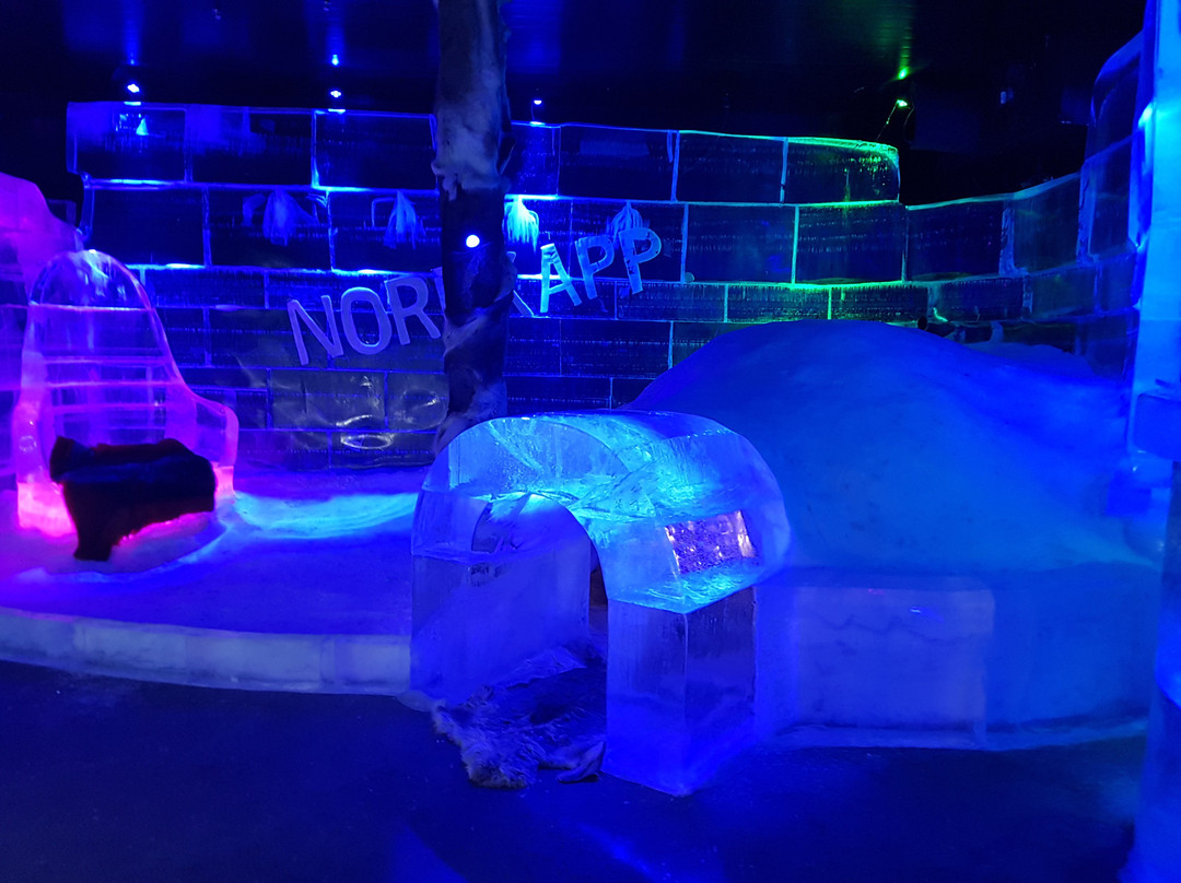 Artico Icebar-霍宁斯沃格必去景点