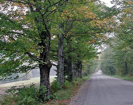 Moosewalk Studios and Gallery-Warren必去景点