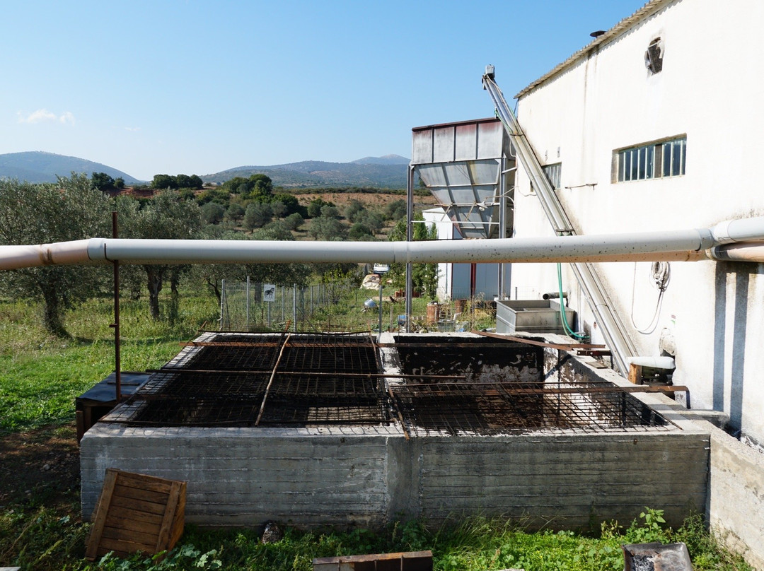 Epidaurus Becas Mills-埃皮达鲁斯必去景点