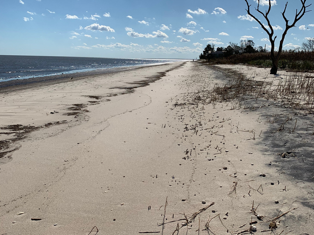 Pickering Beach景点图片