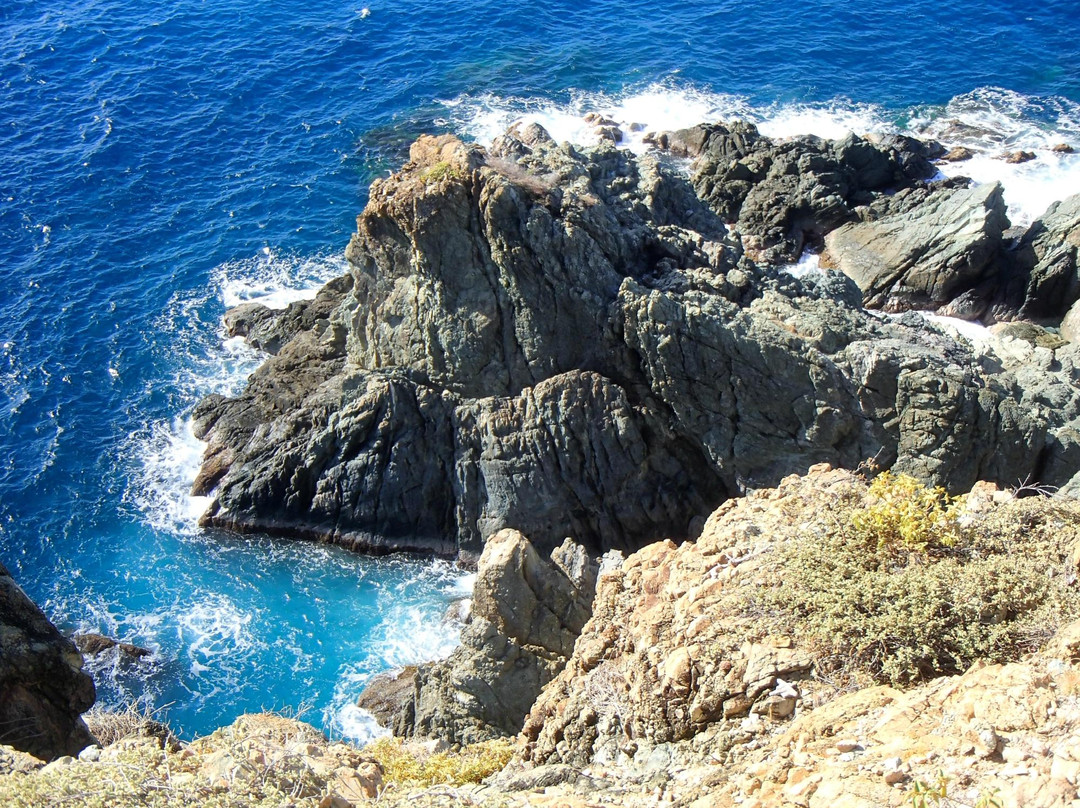 Ram Head Trail