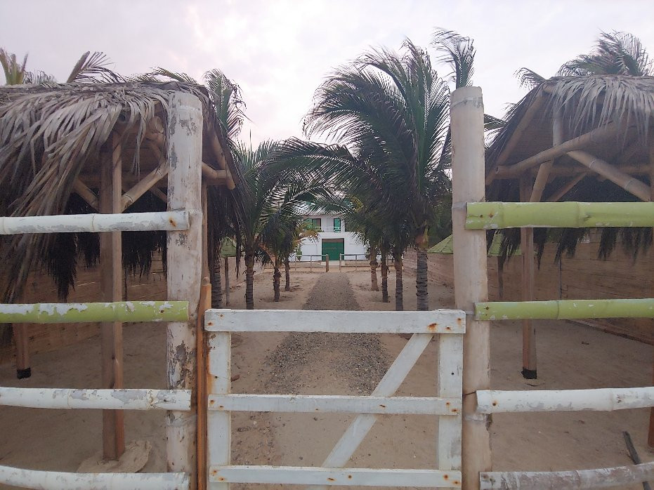 Olas de Serenidad主图