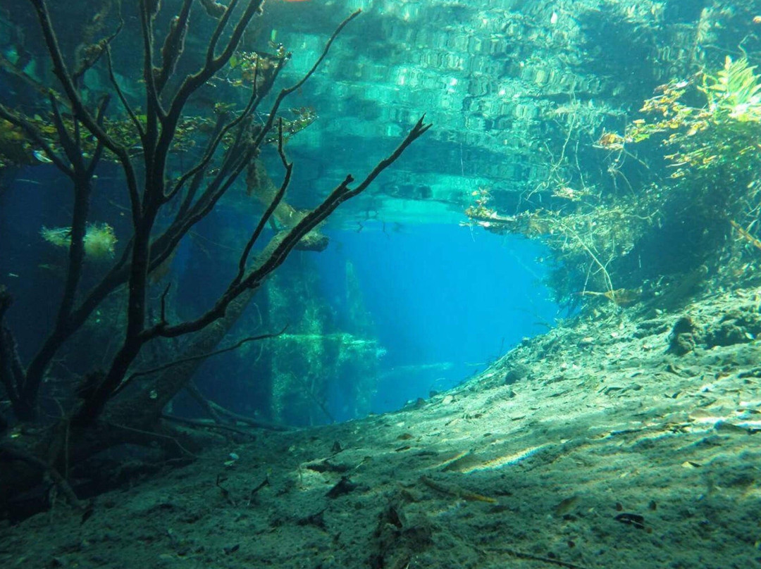 Eco Diving Cuba景点图片
