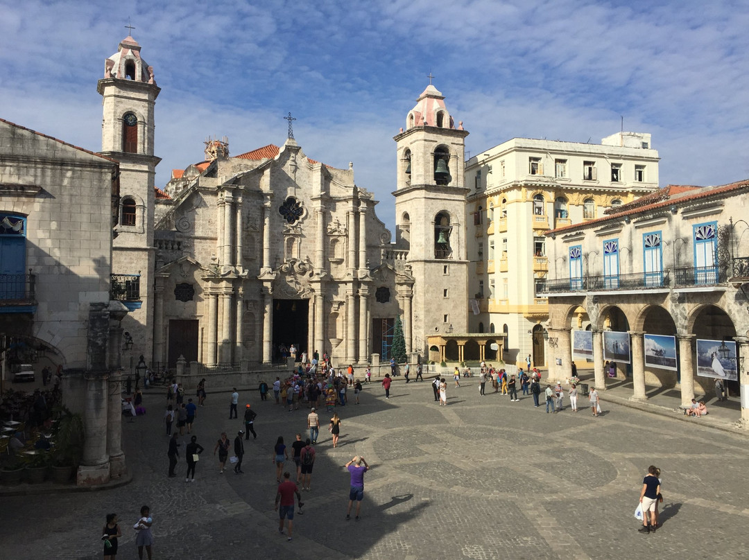 Museo de Arte Colonial景点图片