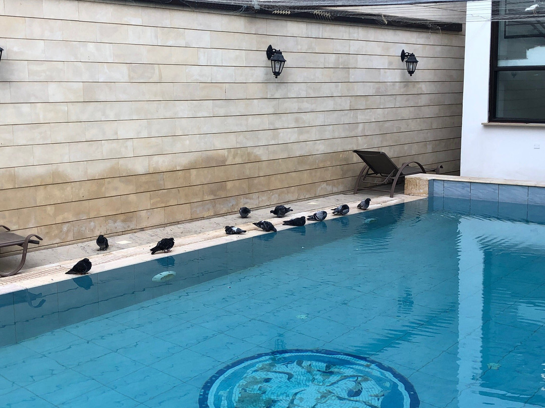 洛伊提克酒店主图