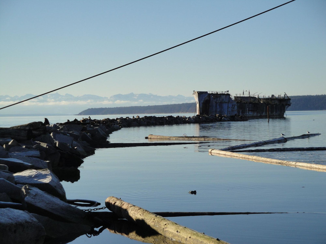 The Giant Hulks-鲍威尔里弗必去景点