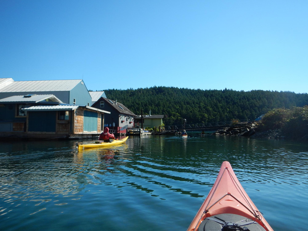 Wilderness Kayaking Co景点图片