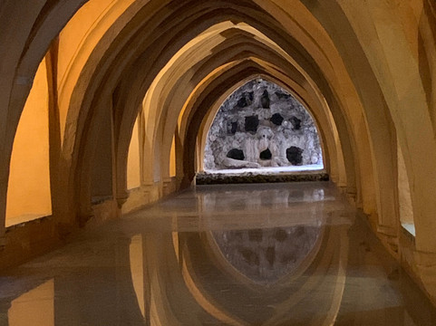 The Magic of Seville Private Tours-塞维利亚必去景点