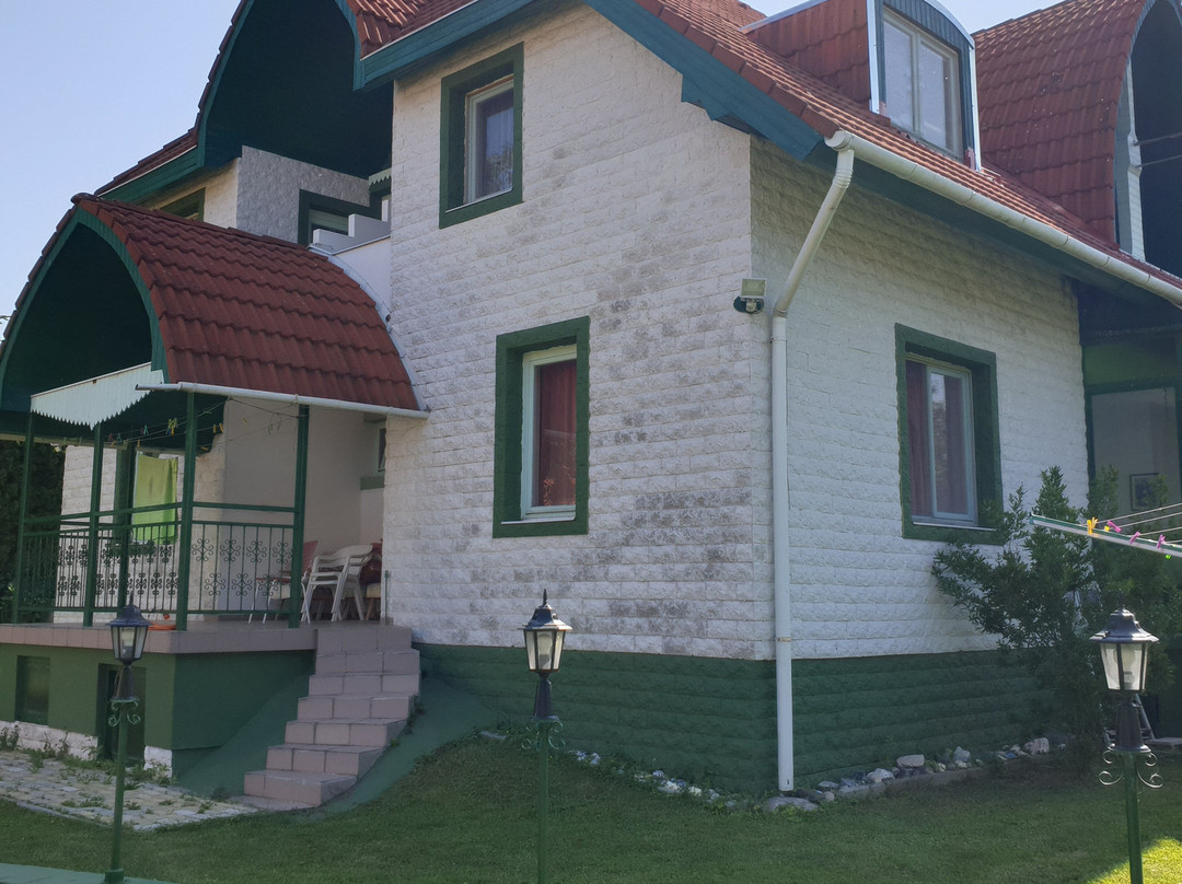 Dolce Villa Balaton主图