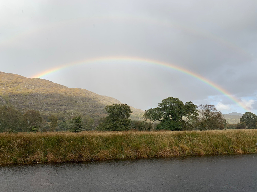 Green Road Cycle Tours, Killarney-基拉尼必去景点
