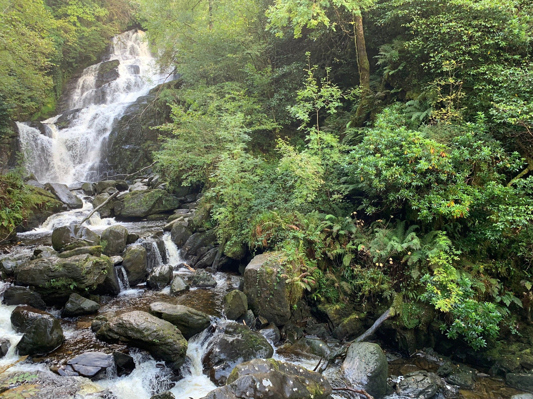 Green Road Cycle Tours, Killarney-基拉尼必去景点