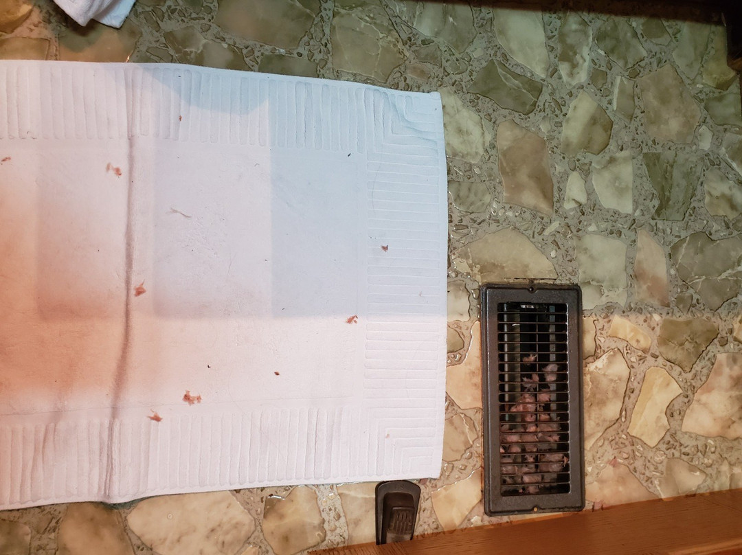 Engadine Inn And Cabins主图