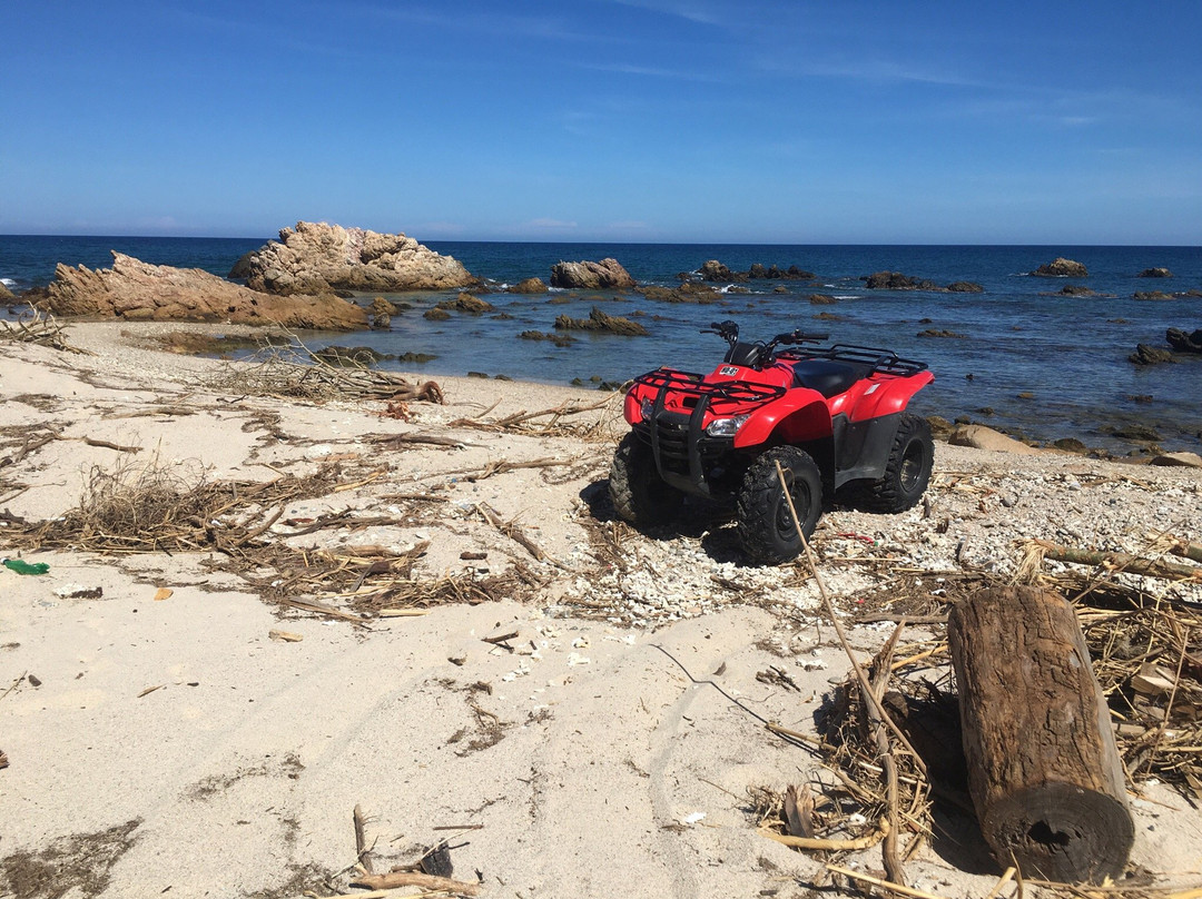 Can-Doo ATV Rentals & Adventures-Los Barriles必去景点