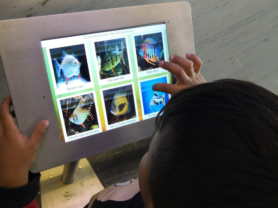 Planetario Alfa-圣佩德罗加尔萨加西亚镇必去景点