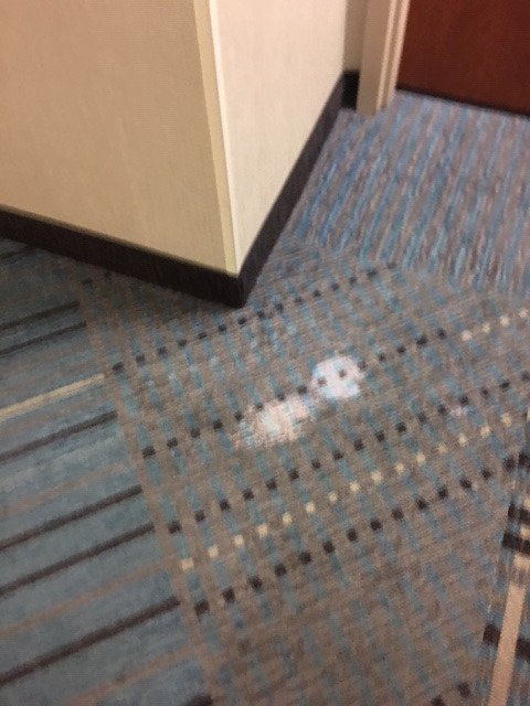 Hyatt House Philadelphia/Plymouth Meeting-浴室