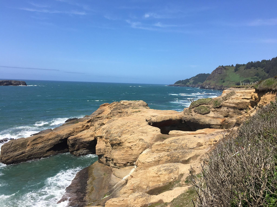 Devils Punchbowl State Natural Area-纽波特必去景点