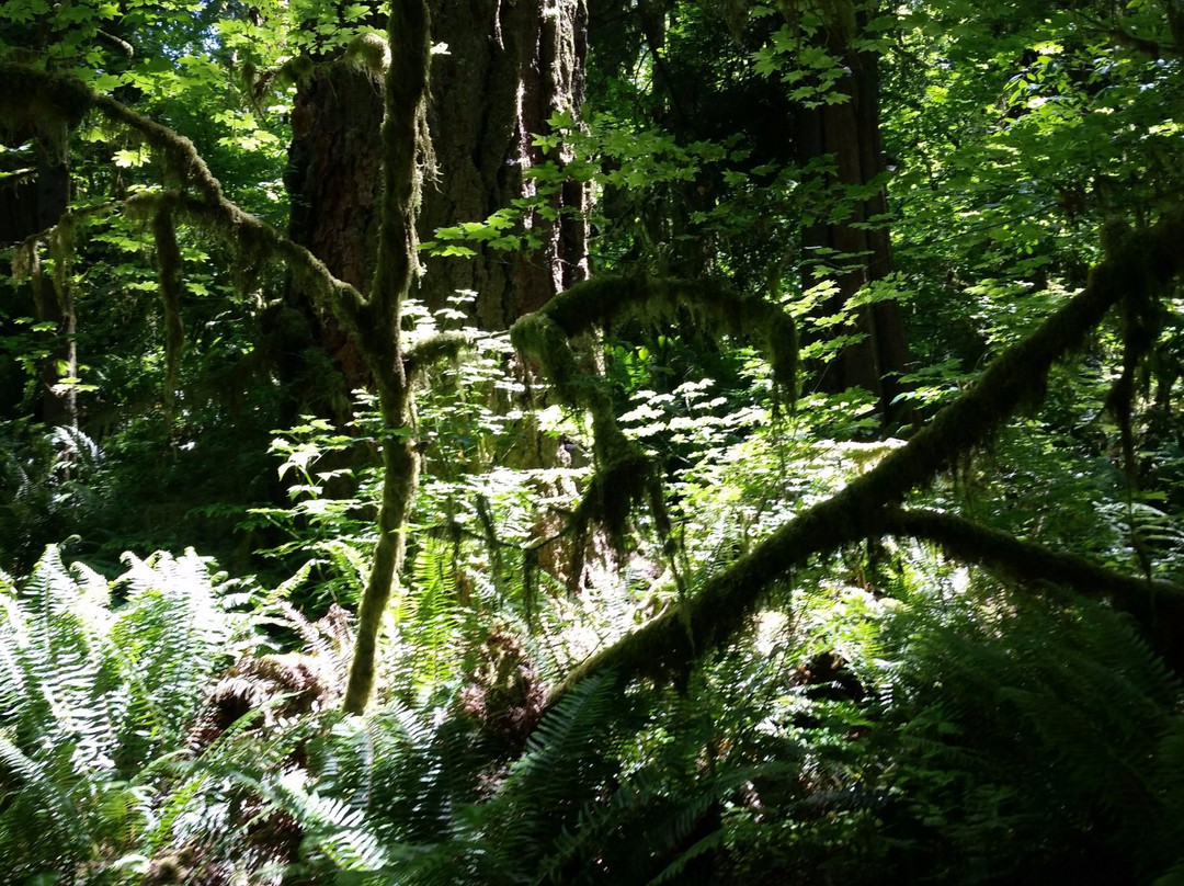 格雷舍姆旅游景点-Oxbow Regional Park