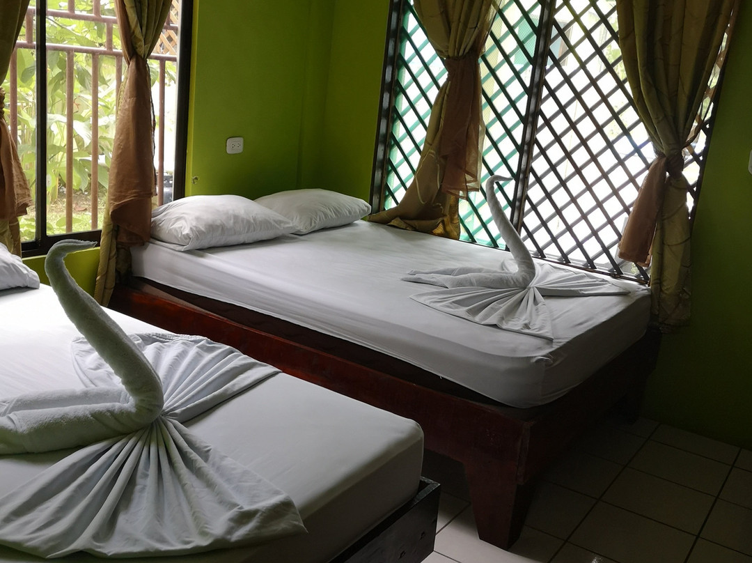 Los Amigos Jungle Hotel Tortuguero主图