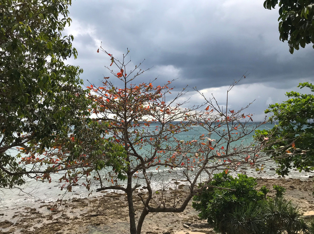 月光湾度假主图