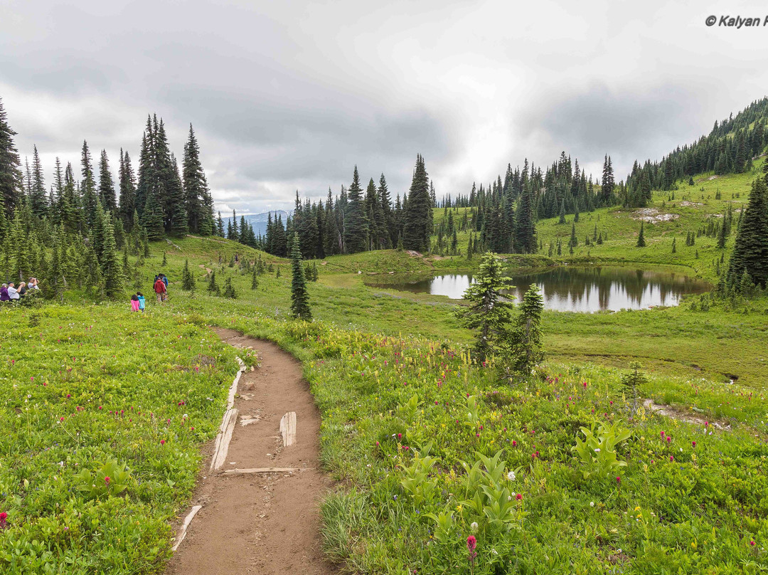 Tipsoo Lake Loop景点图片