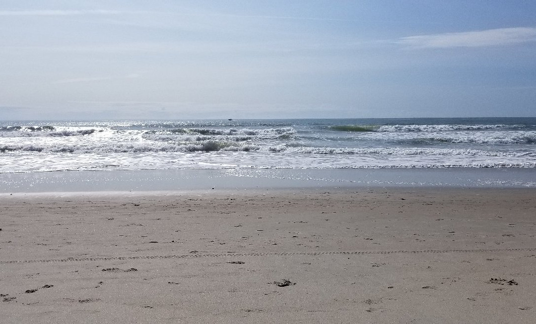 Carolina Beach景点图片