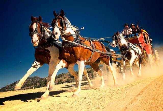 TNT Stagelines-弗吉尼亚市必去景点