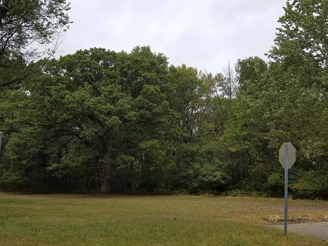 Brezina Woods Park and Preserve