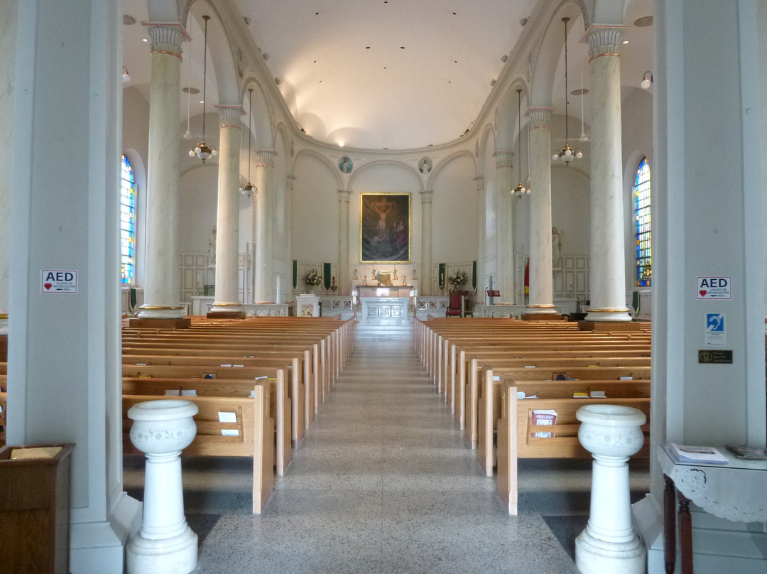 Basilica of St Joseph Proto-Cathedral景点图片