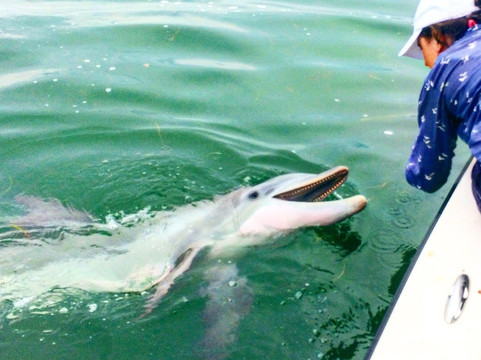 Captain Matt's Island Charters-萨尼贝尔岛必去景点
