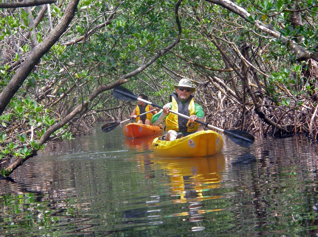 Phoenix Rising Kayak Tours景点图片