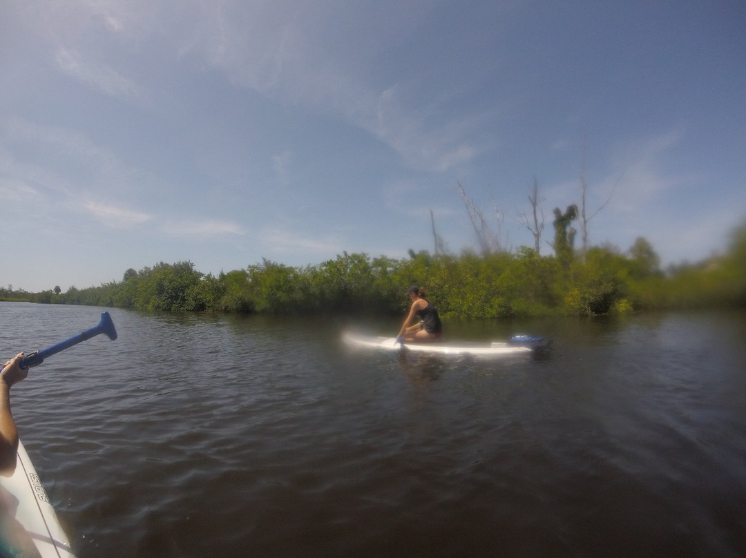 Paddle Pug SUP & Kayak Rental景点图片
