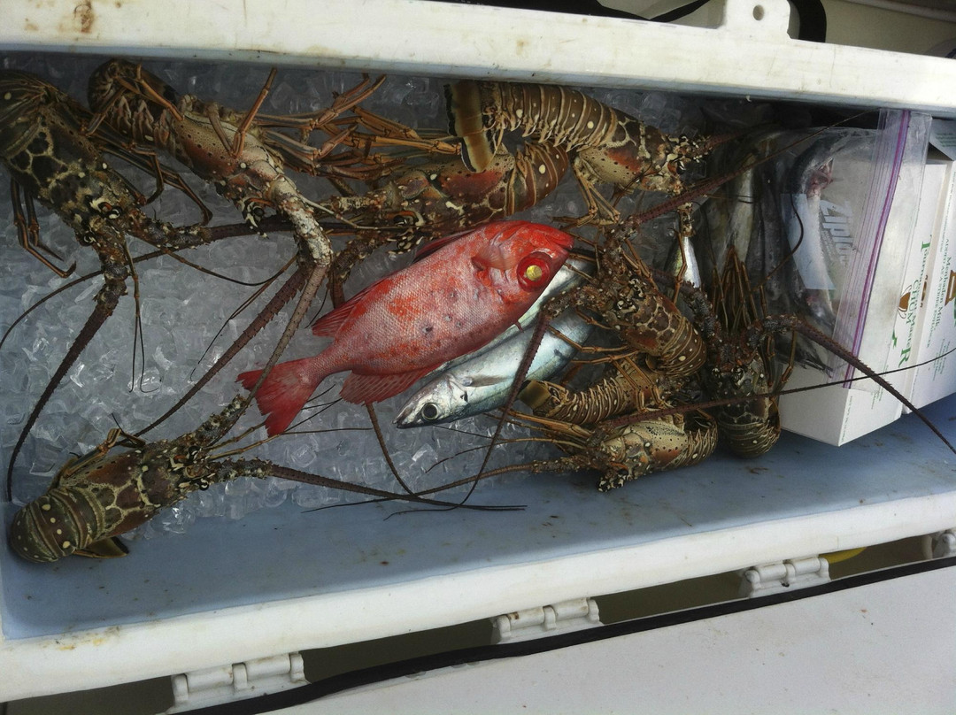 Curt-A-Sea Charters-伊斯拉摩拉达必去景点