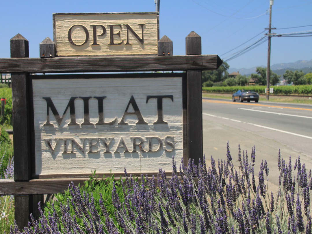 Milat Estate Winery景点图片