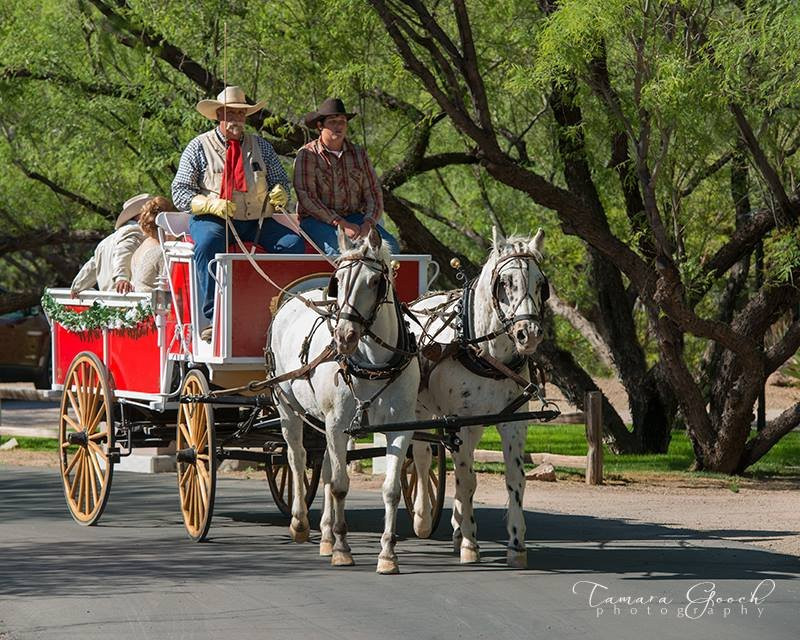 Arizona Horse Carriage & Wagon