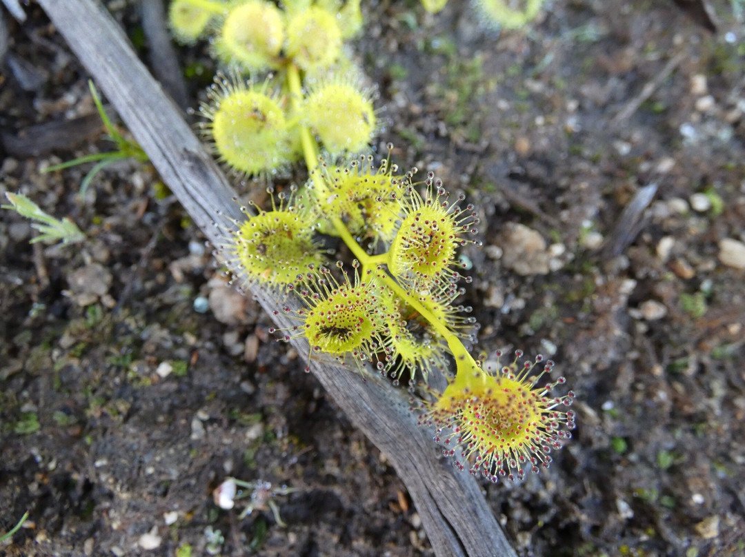 Hidden Hollow-Narembeen必去景点
