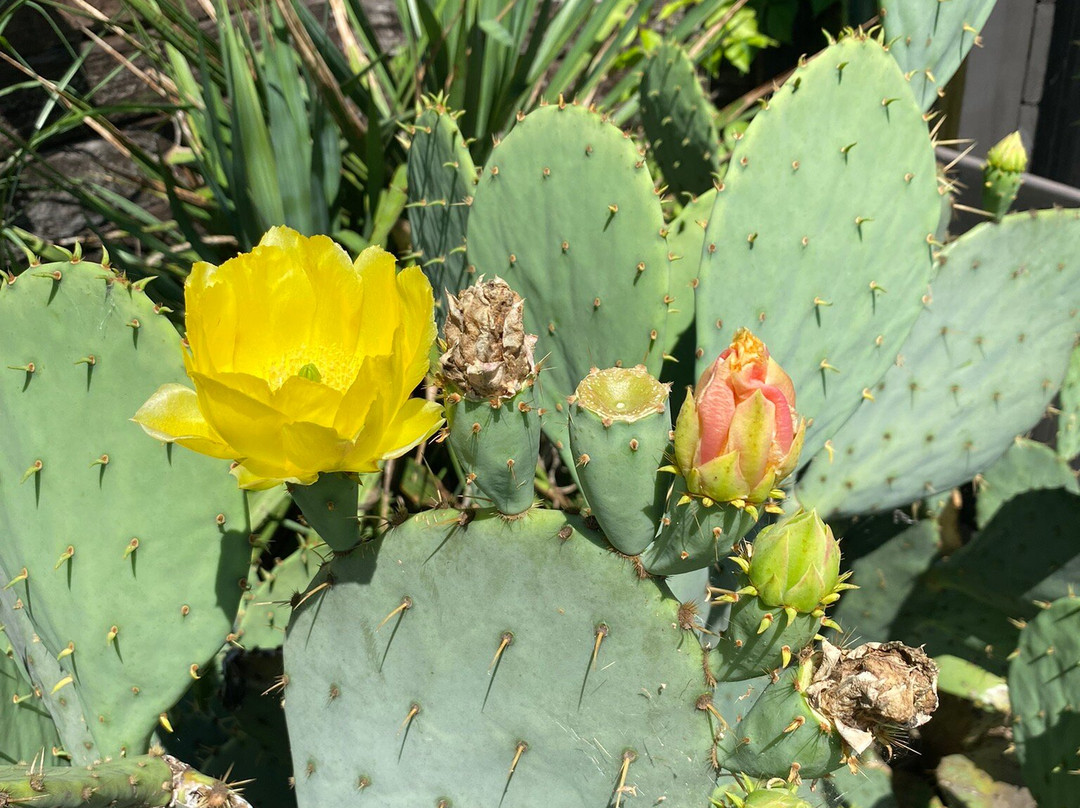 Killen Time Mini Golf