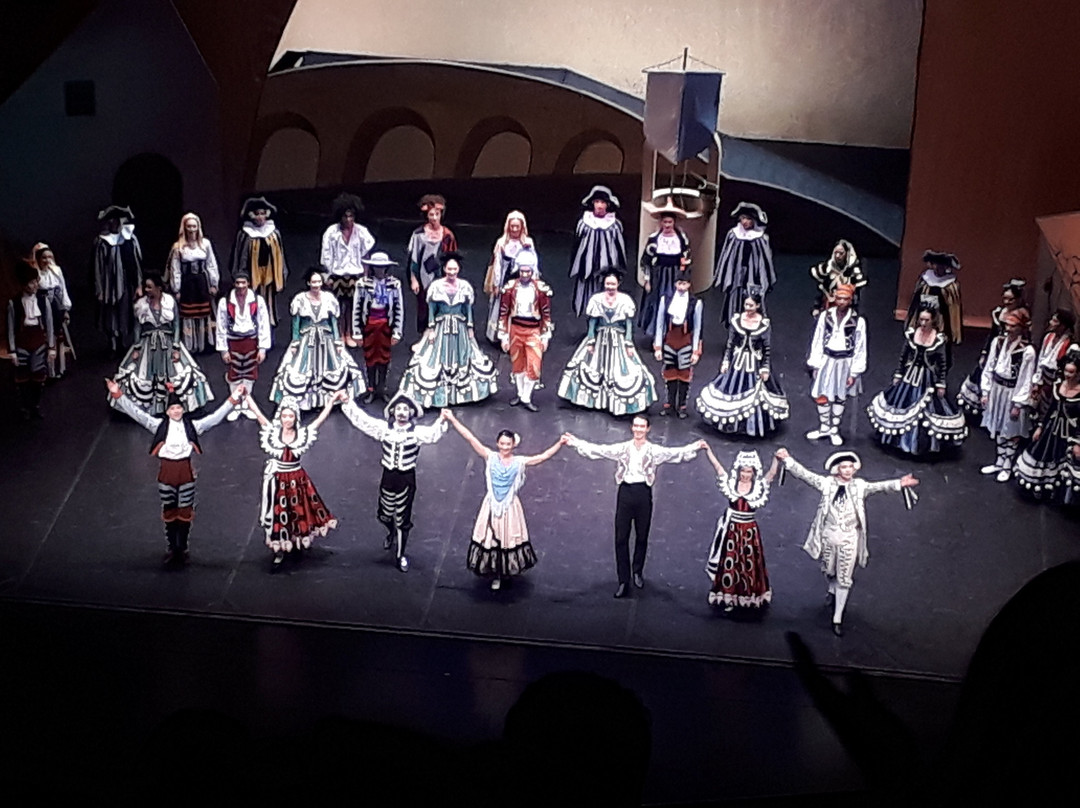 Auditorio del Sodre景点图片